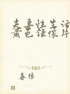 夫妻性生活一级黄色录像片封面