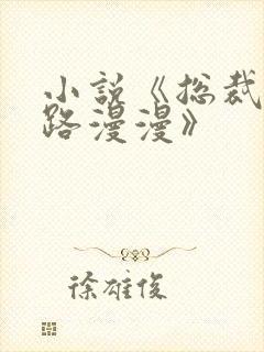 小说《总裁追妻路漫漫》封面