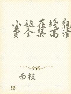 小姐在线观看免费全集高清完整版