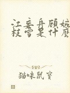 江妄舟顾婉禾宋枝雪是什么小说