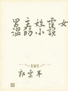 男主姓霍女主姓温的小说