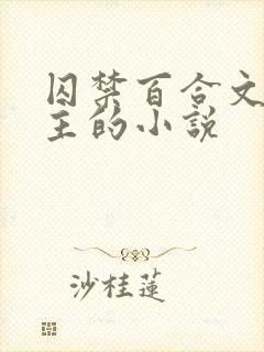 囚禁百合文双女主的小说