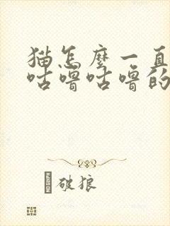 猫怎么一直发出咕噜咕噜的声音