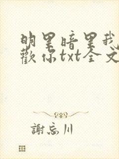 明里暗里我都喜欢你txt全文下载封面