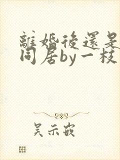 离婚后还是选择同居by一枝独秀