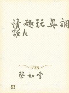 情趣玩具调教小说h