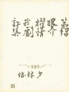 许我耀眼第40集剧情介绍