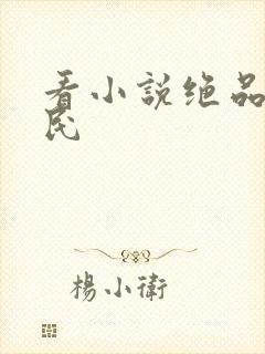 看小说绝品小农民