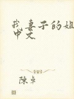 我妻子的姐姐2中文封面