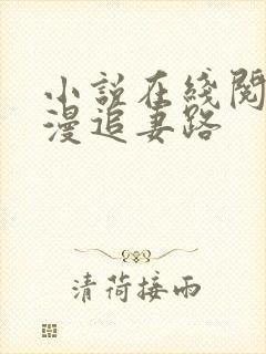 小说在线阅读漫漫追妻路封面