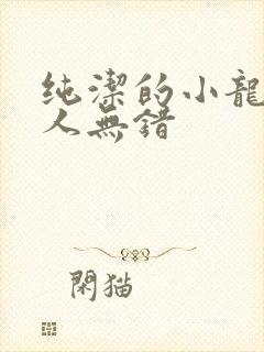 纯洁的小龙捞尸人无错封面