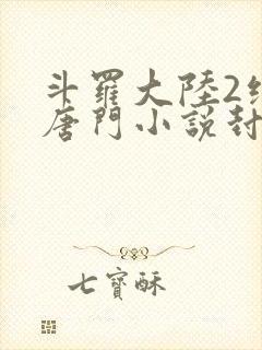 斗罗大陆2绝世唐门小说封面