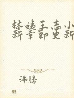 林姨王志小说最新章节更新免费阅读