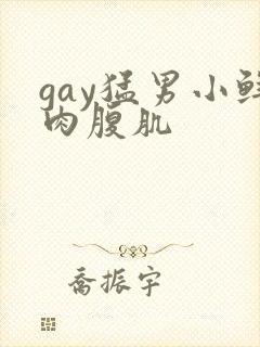 gay猛男小鲜肉腹肌