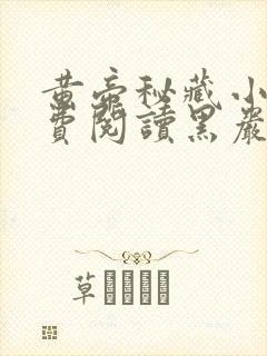 黄帝秘藏小说免费阅读黑岩网