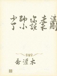 少帅你老婆又跑了小说未删版完整