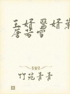 王婿 医婿叶凡唐若雪