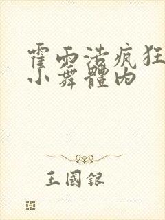 霍雨浩疯狂挺进小舞体内封面