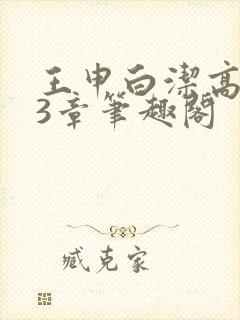 王申白洁高义23章笔趣阁