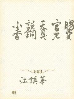 小说天官赐福墨香铜臭免费阅读全文封面