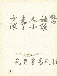 少夫人她惊艳全球了小说封面