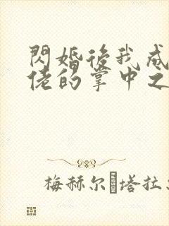 闪婚后我成了大佬的掌中之物无删减