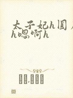 太子妃h圆房～h嗯啊h