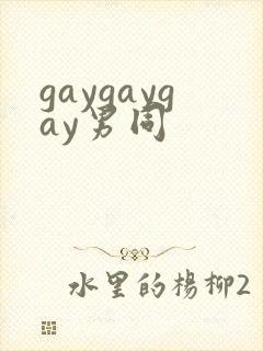 gaygaygay男同