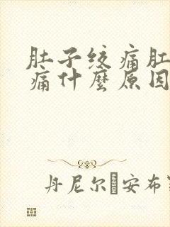 肚子绞痛肛门坠痛什么原因