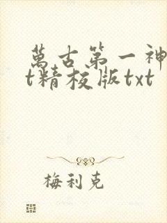 万古第一神txt精校版txt