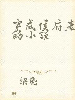 穿成侯府老夫人的小说