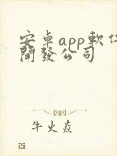 安卓app软件开发公司