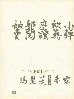 她那么软小说免费阅读无弹窗