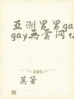 亚洲男男gaygay无套网站