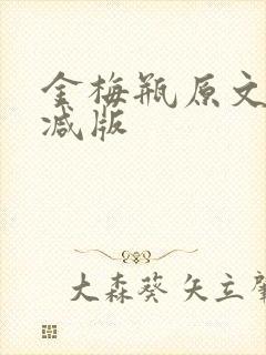 金梅瓶原文未删减版