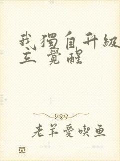 我独自升级:起立 觉醒