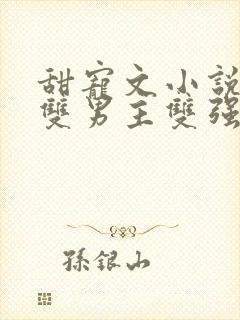 甜宠文小说推荐双男主双强