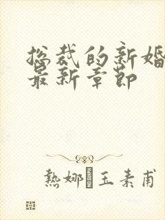 总裁的新婚罪妻最新章节封面