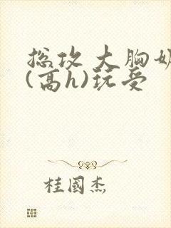 总攻 大胸奶汁(高h)玩受