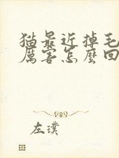 猫最近掉毛特别厉害怎么回事封面