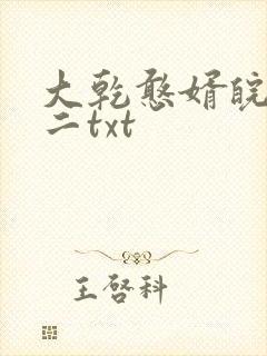 大乾憨婿皖南牛二txt