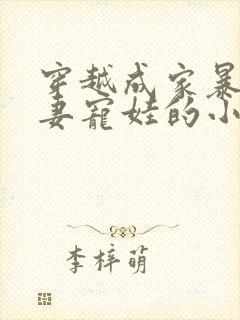 穿越成家暴男宠妻宠娃的小说