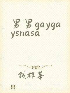 男男gaygaysnasa封面