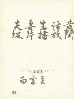 夫妻生活黄色一级片播放开始