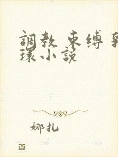 调教 束缚 乳环小说
