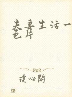 夫妻生活一级黄色片