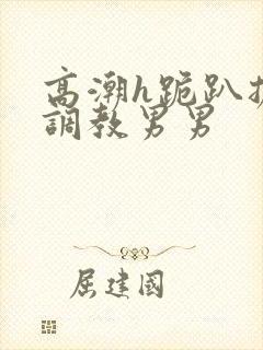 高潮h跪趴扩张调教男男