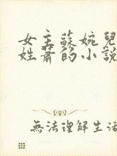 女主苏婉儿男主姓萧的小说