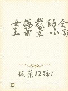 女总裁的全能兵王萧晨 小说