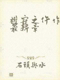 权宠之仵作医妃最新章